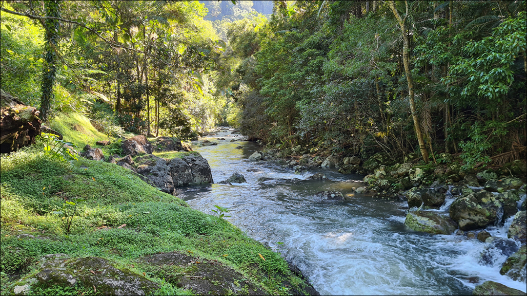 Hinterland Eco Farm