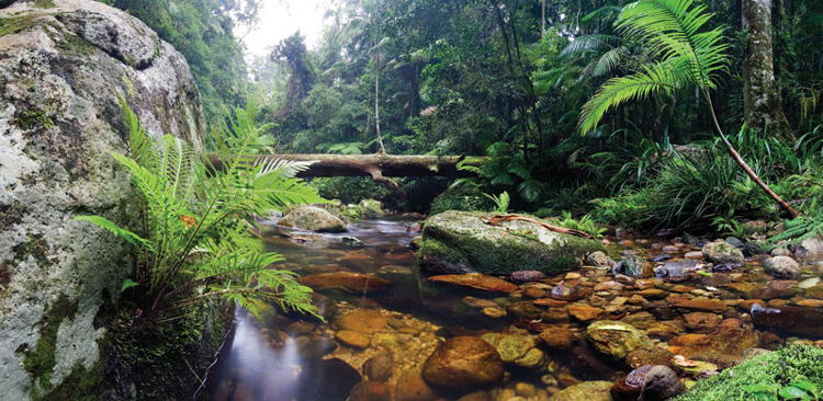 Creek