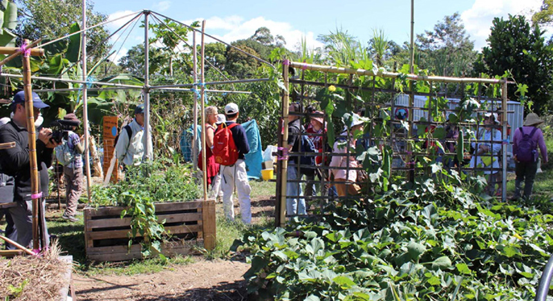 Mullumbimby Community Garden