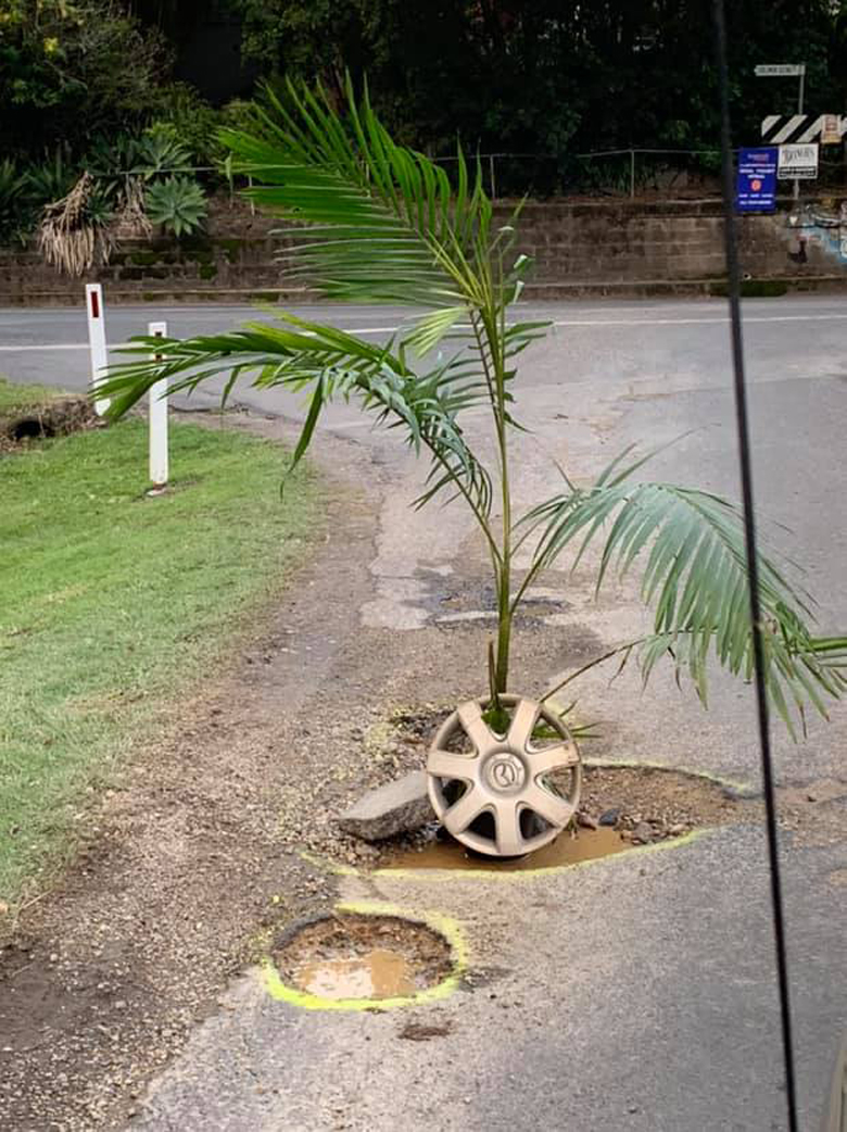 Pothole Capital Mullumbimby