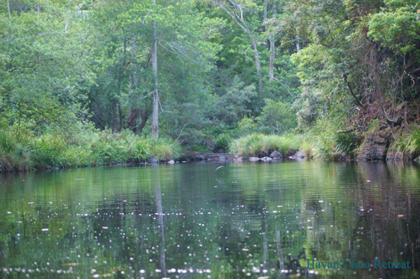 Havan's Ecotourist Retreat